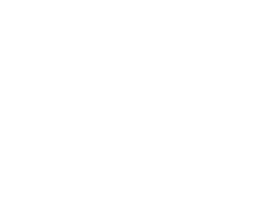 serious_logo_bile